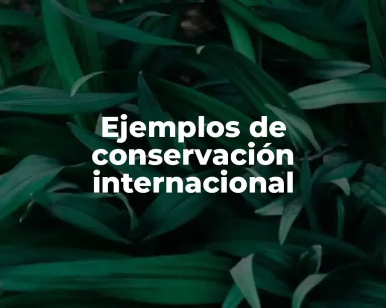 Ejemplos de conservación internacional