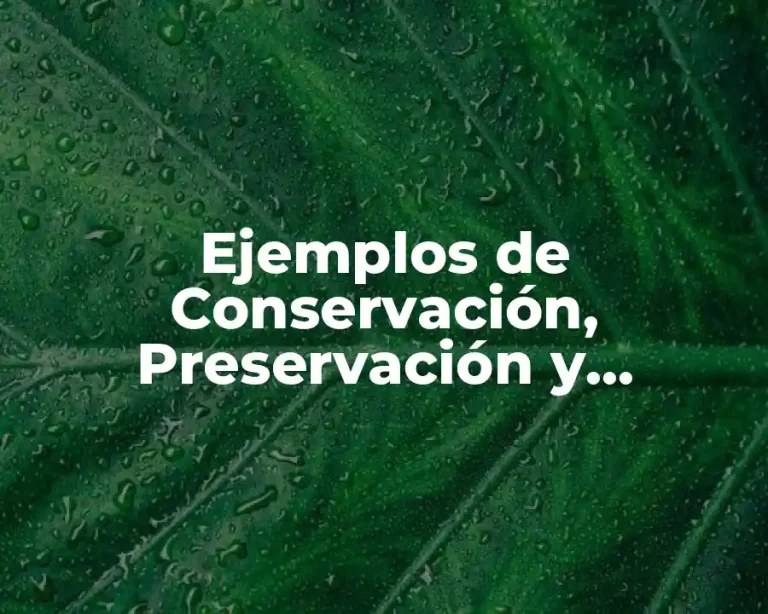 Ejemplos de Conservación, Preservación y Protección del Medio Ambiente