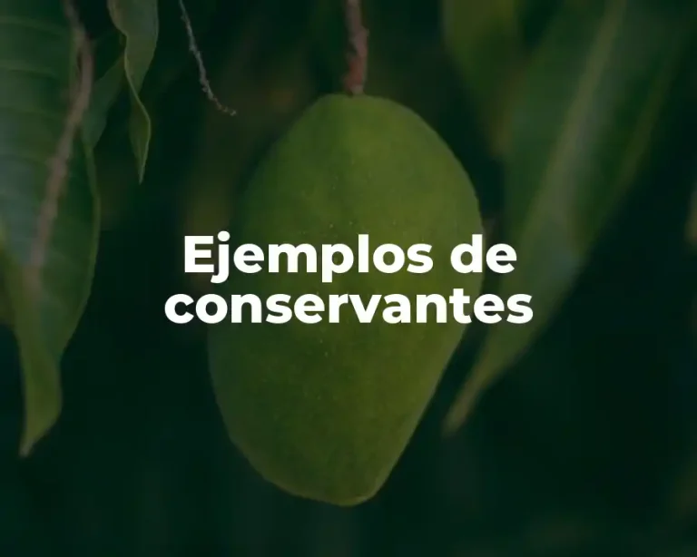Ejemplos de conservantes