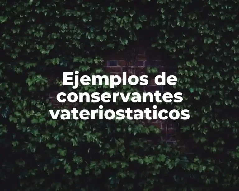 Ejemplos de conservantes vateriostaticos