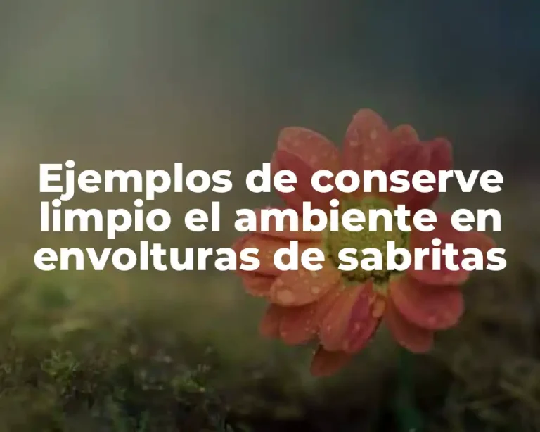 Ejemplos de conserve limpio el ambiente en envolturas de sabritas
