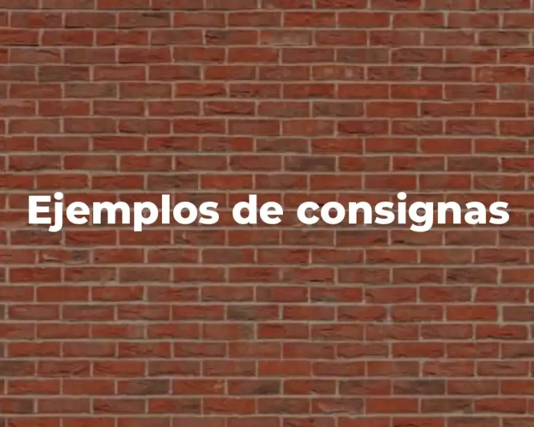 Ejemplos de consignas