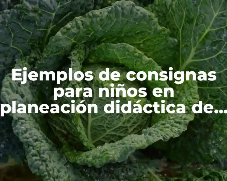 Ejemplos de consignas para niños en planeación didáctica de preescolar