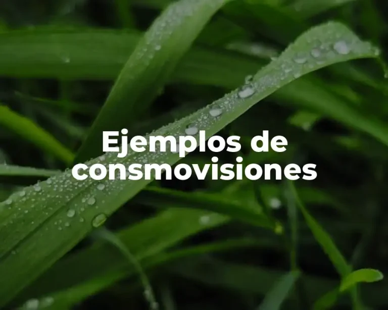 Ejemplos de consmovisiones