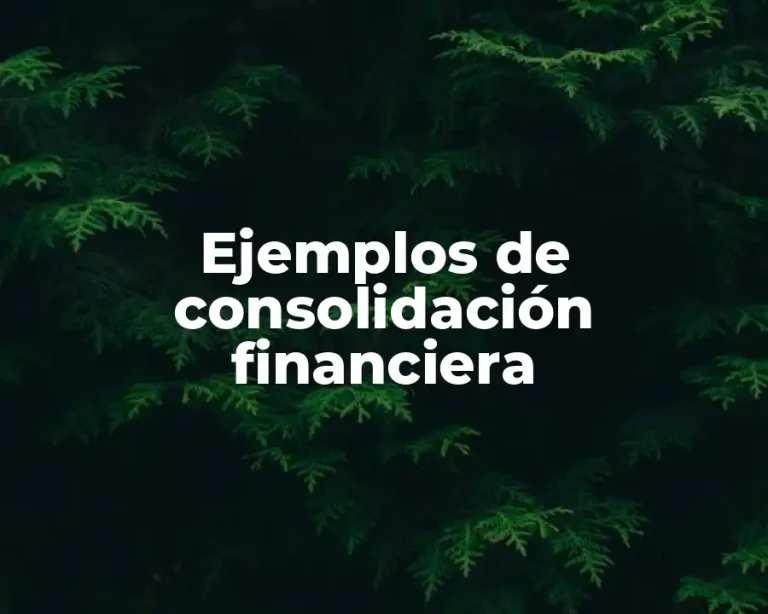 Ejemplos de consolidación financiera