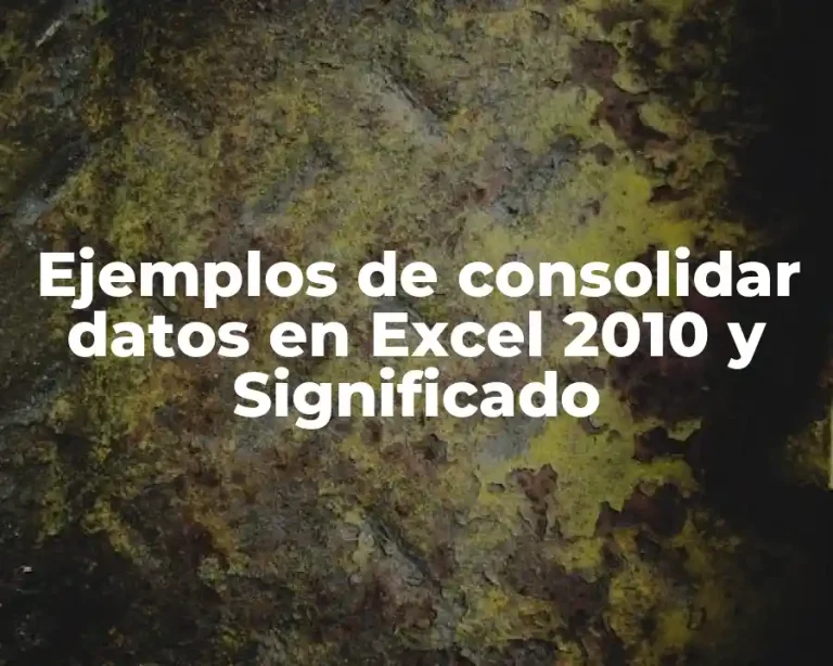 Ejemplos de consolidar datos en Excel 2010 y Significado