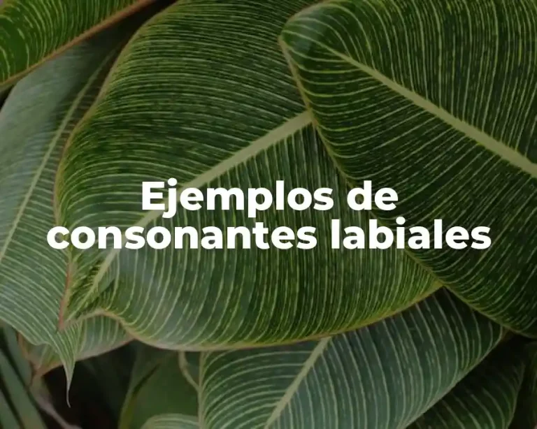 Ejemplos de consonantes labiales
