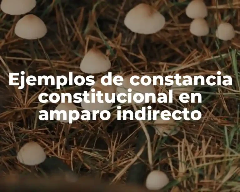 Ejemplos de constancia constitucional en amparo indirecto