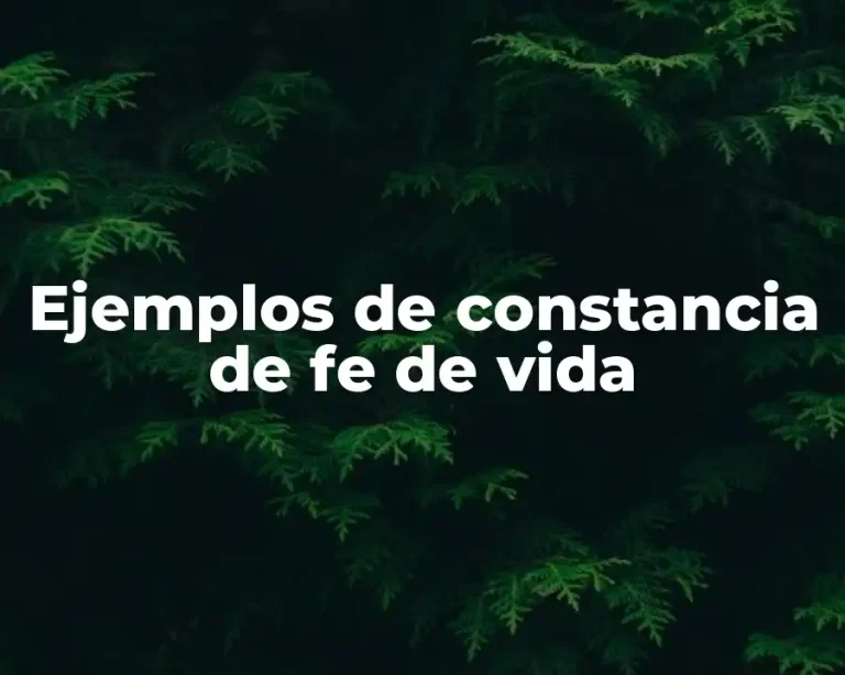 Ejemplos de constancia de fe de vida