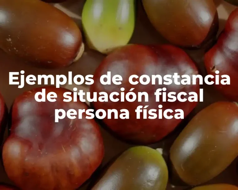 Ejemplos de constancia de situación fiscal persona física
