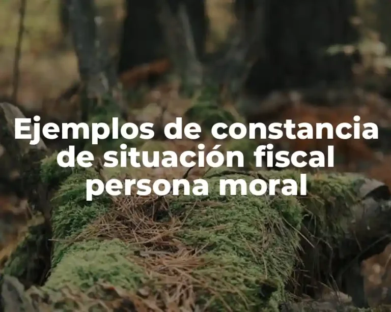 Ejemplos de constancia de situación fiscal persona moral