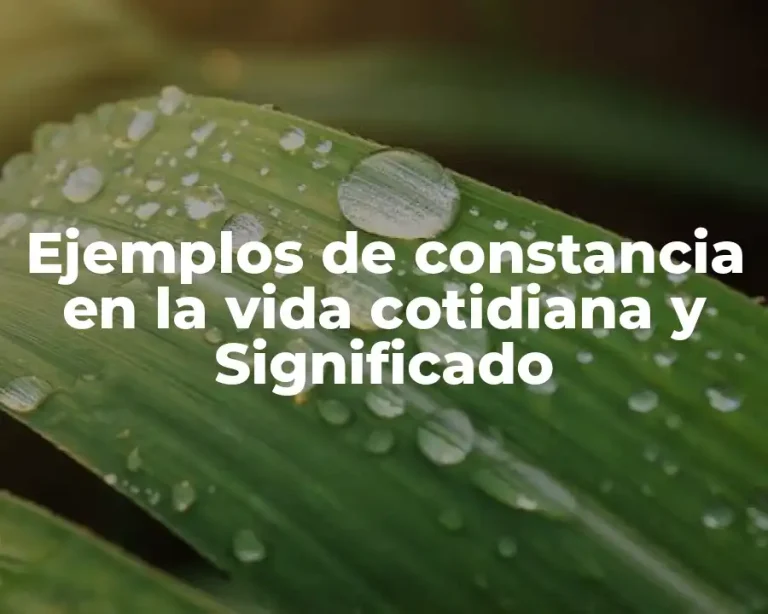 Ejemplos de constancia en la vida cotidiana y Significado