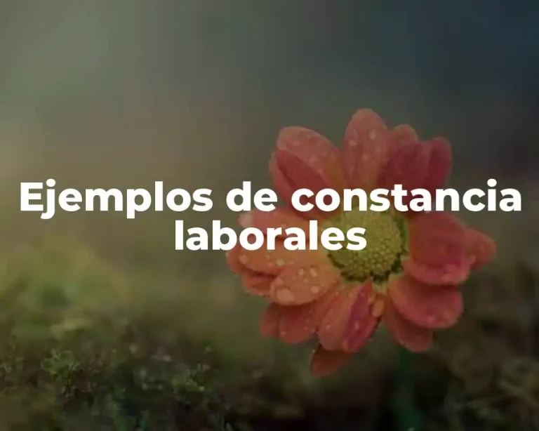 Ejemplos de constancia laborales