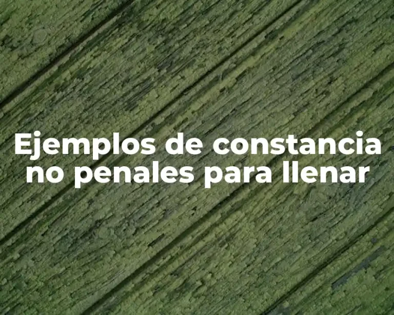 Ejemplos de constancia no penales para llenar