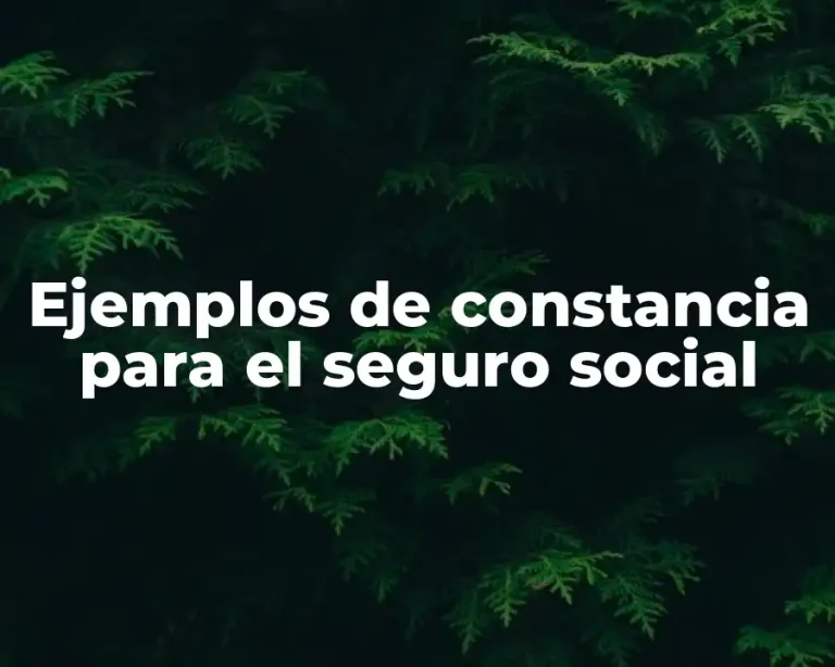 Ejemplos de constancia para el seguro social