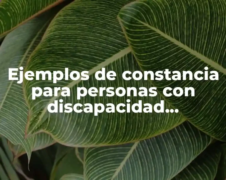 Ejemplos de constancia para personas con discapacidad permanente