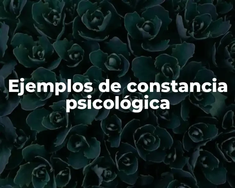 Ejemplos de constancia psicológica