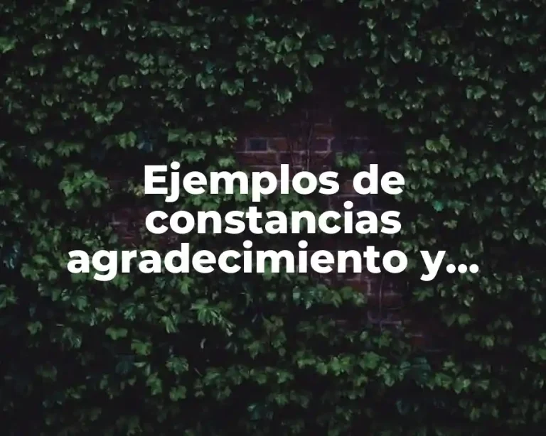 Ejemplos de constancias agradecimiento y Significado