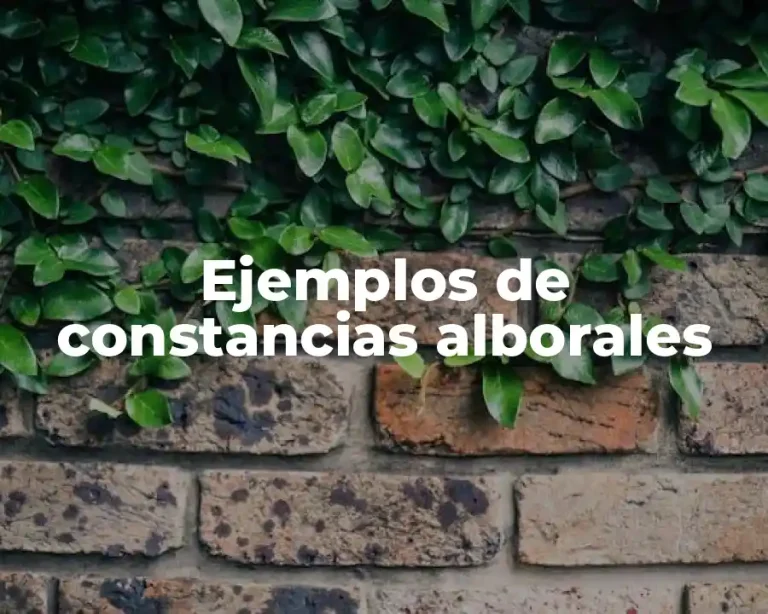 Ejemplos de constancias alborales