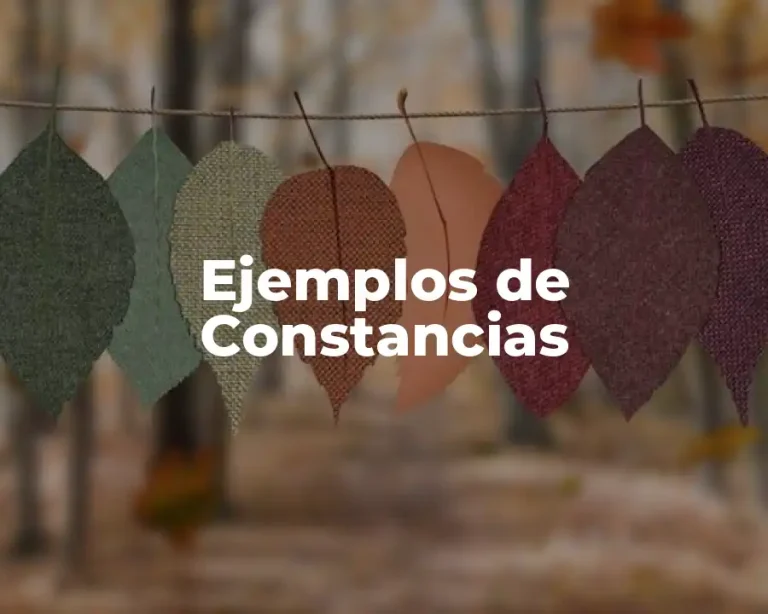 Ejemplos de Constancias