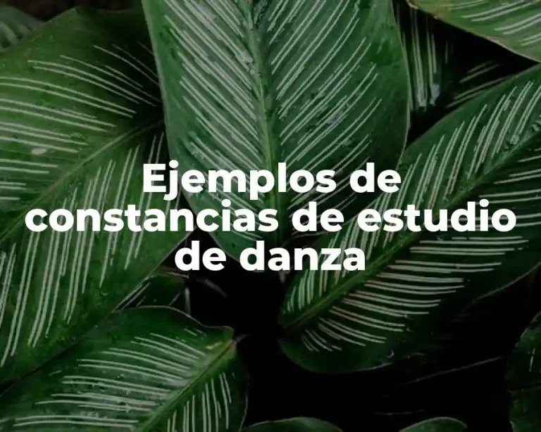 Ejemplos de constancias de estudio de danza