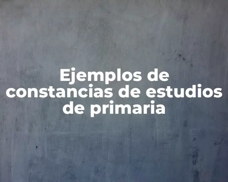 Ejemplos de constancias de estudios de primaria