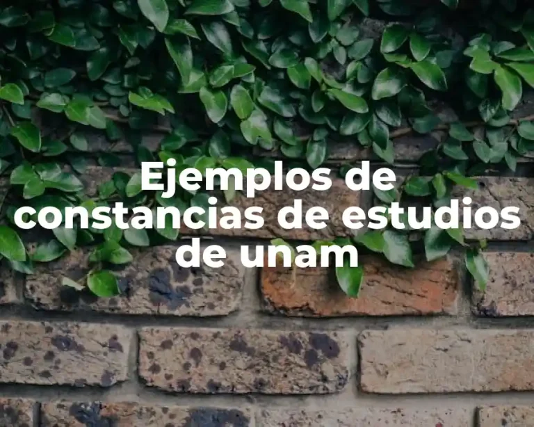 Ejemplos de constancias de estudios de unam
