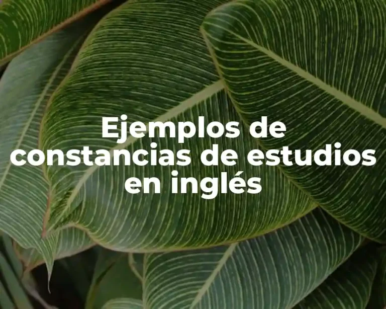 Ejemplos de constancias de estudios en inglés