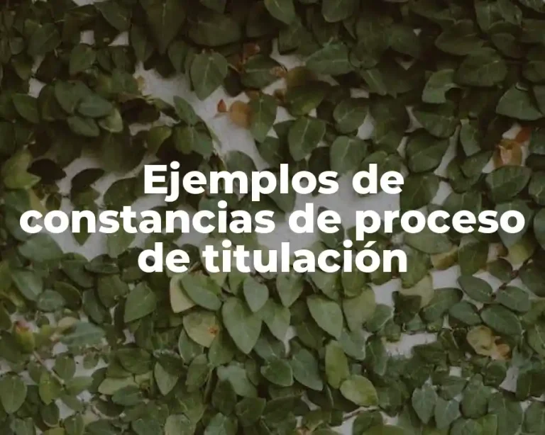 Ejemplos de constancias de proceso de titulación