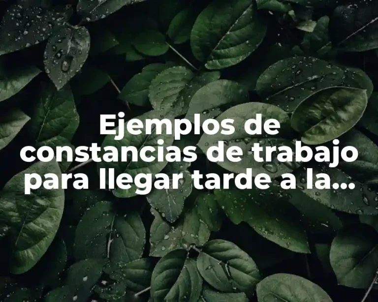 Ejemplos de constancias de trabajo para llegar tarde a la escuela