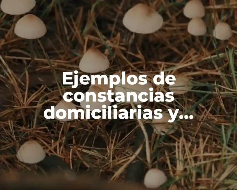 Ejemplos de constancias domiciliarias y Significado