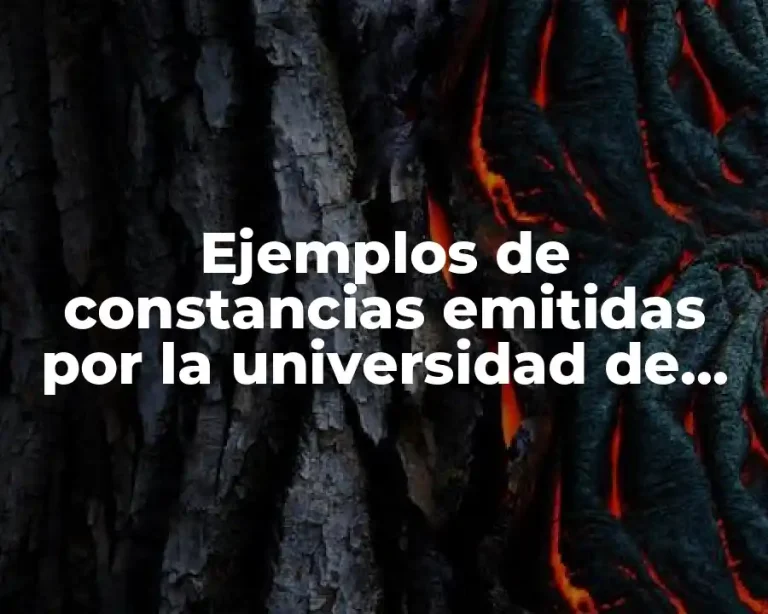 Ejemplos de constancias emitidas por la universidad de chapingo
