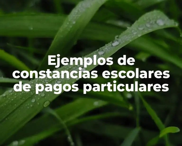 Ejemplos de constancias escolares de pagos particulares