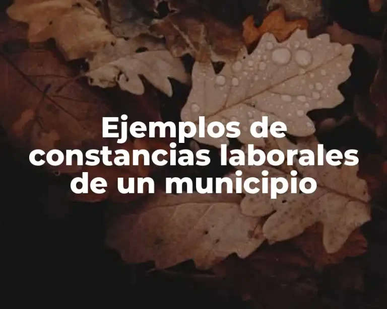 Ejemplos de constancias laborales de un municipio