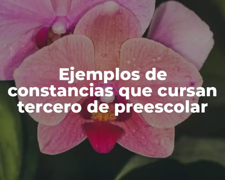 Ejemplos de constancias que cursan tercero de preescolar