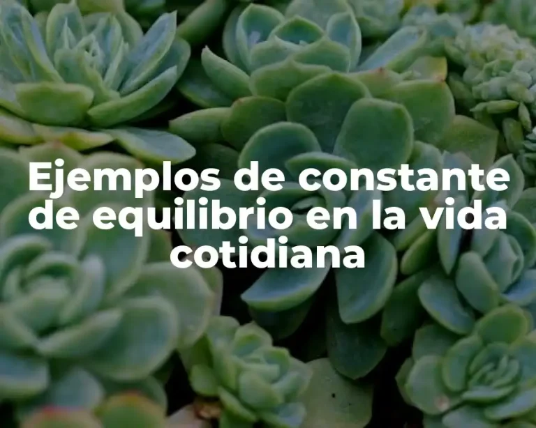 Ejemplos de constante de equilibrio en la vida cotidiana