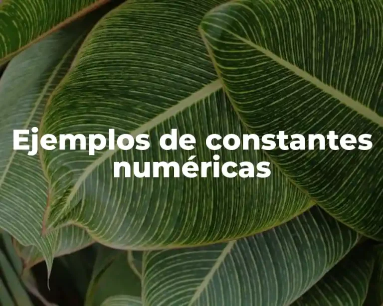 Ejemplos de constantes numéricas
