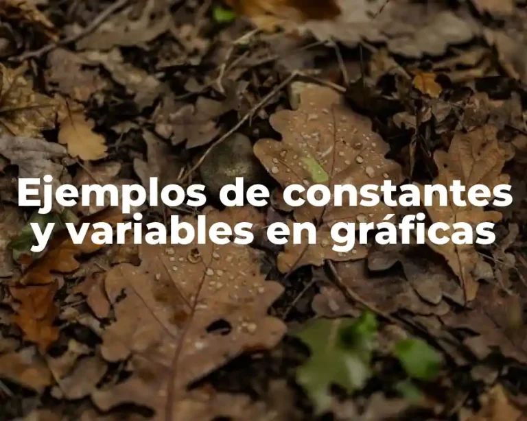 Ejemplos de constantes y variables en gráficas