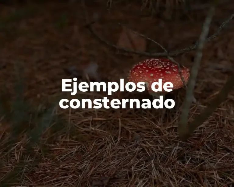 Ejemplos de consternado