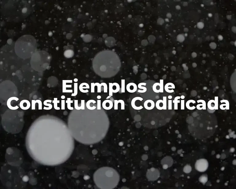 Ejemplos de Constitución Codificada