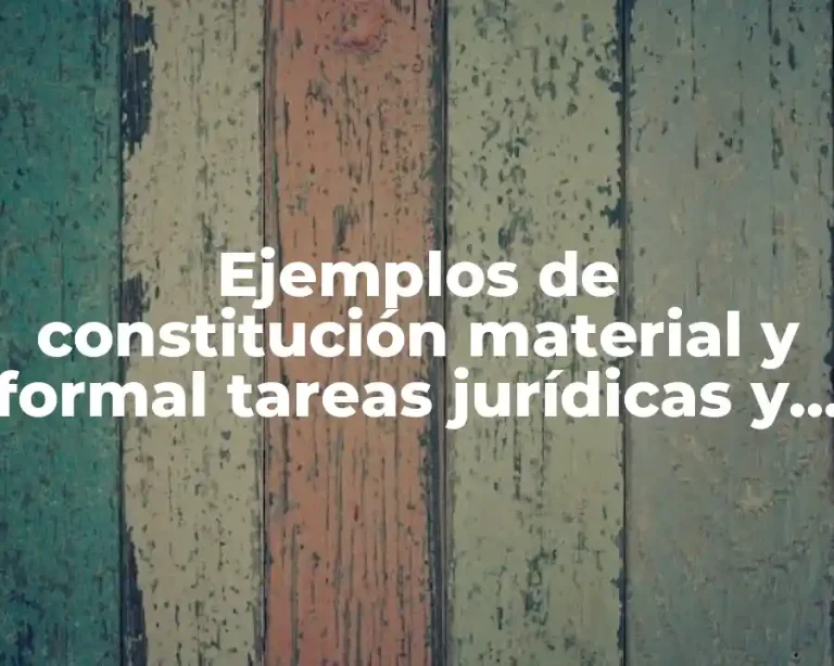 Ejemplos de constitución material y formal tareas jurídicas y Significado