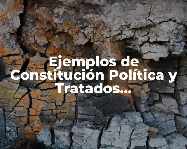 Ejemplos de Constitución Política y Tratados Internacionales en México