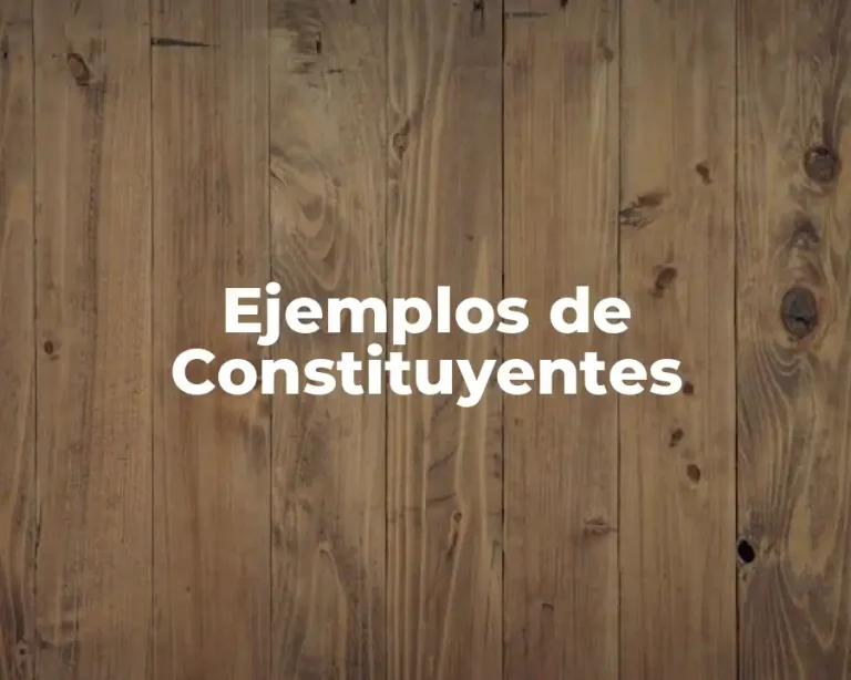Ejemplos de Constituyentes
