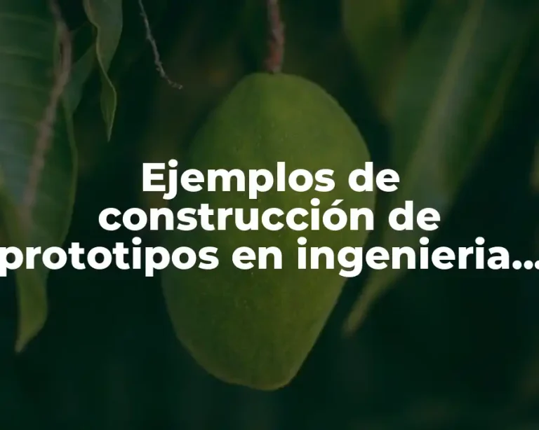 Ejemplos de construcción de prototipos en ingenieria de software
