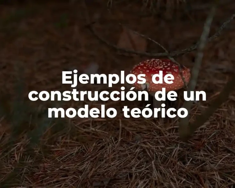 Ejemplos de construcción de un modelo teórico