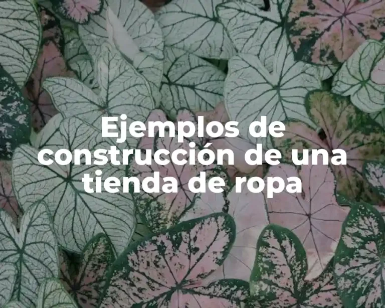 Ejemplos de construcción de una tienda de ropa