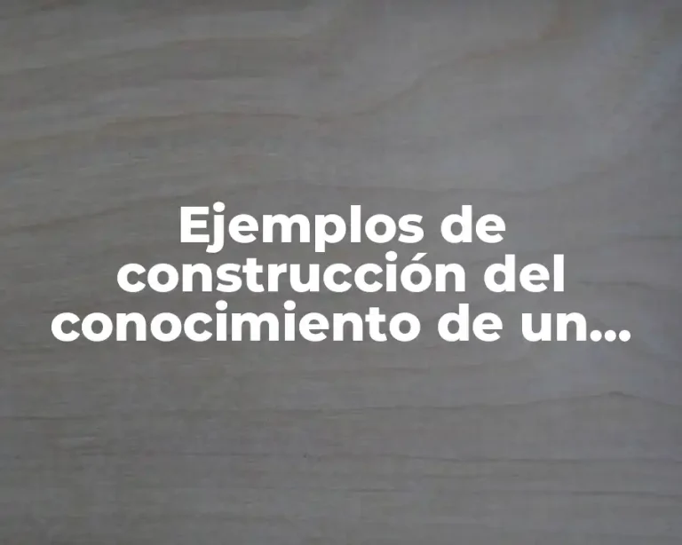 Ejemplos de construcción del conocimiento de un alumno