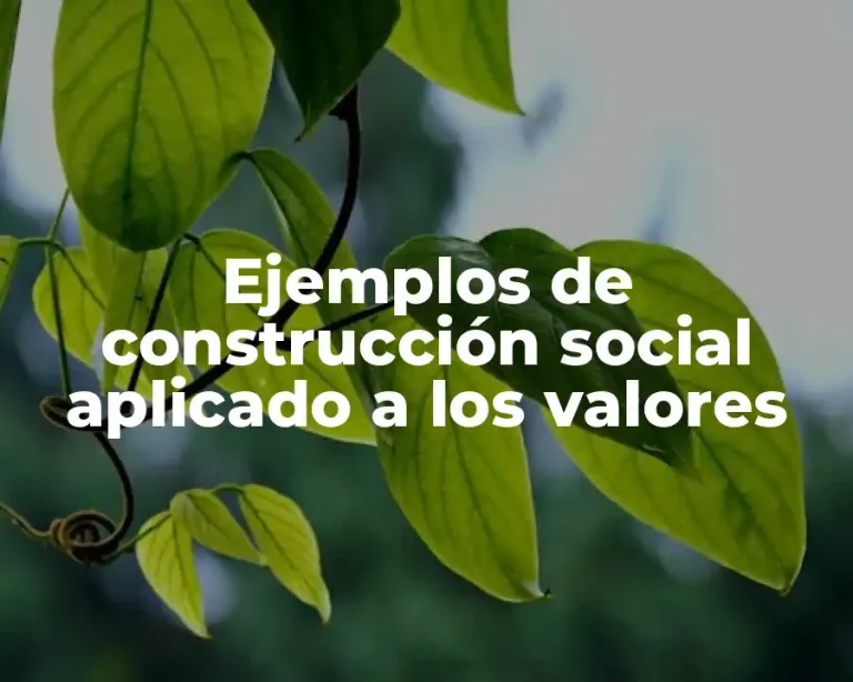 Ejemplos de construcción social aplicado a los valores
