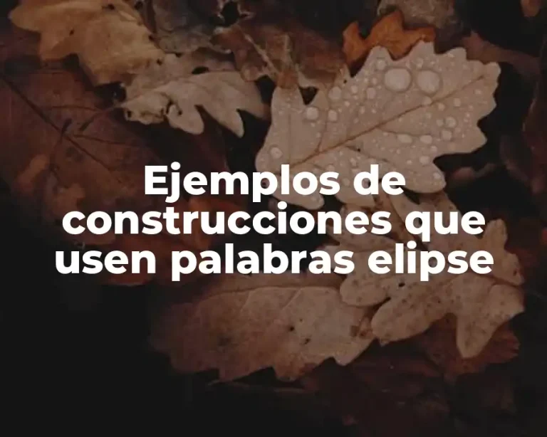 Ejemplos de construcciones que usen palabras elipse