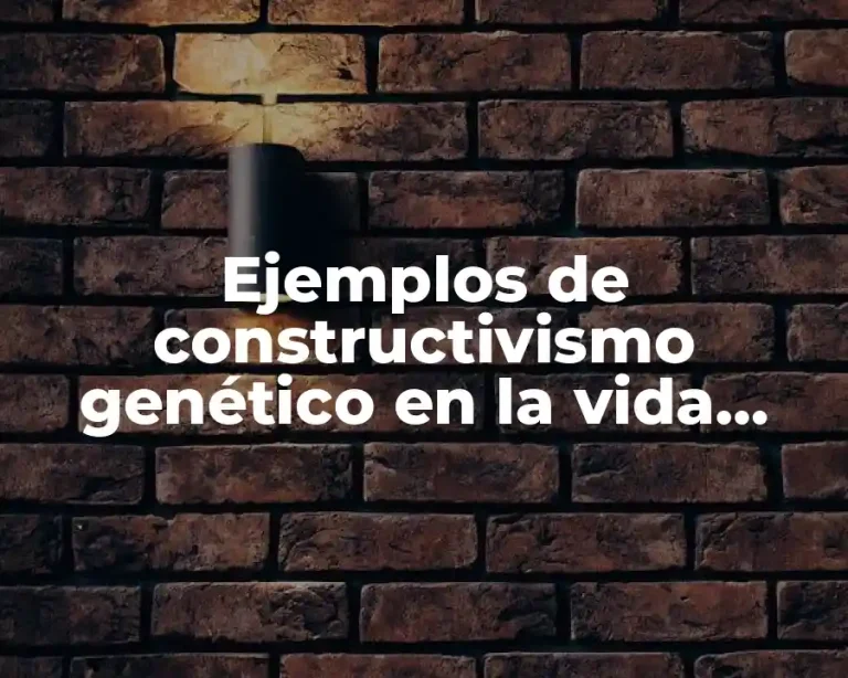 Ejemplos de constructivismo genético en la vida cotidiana